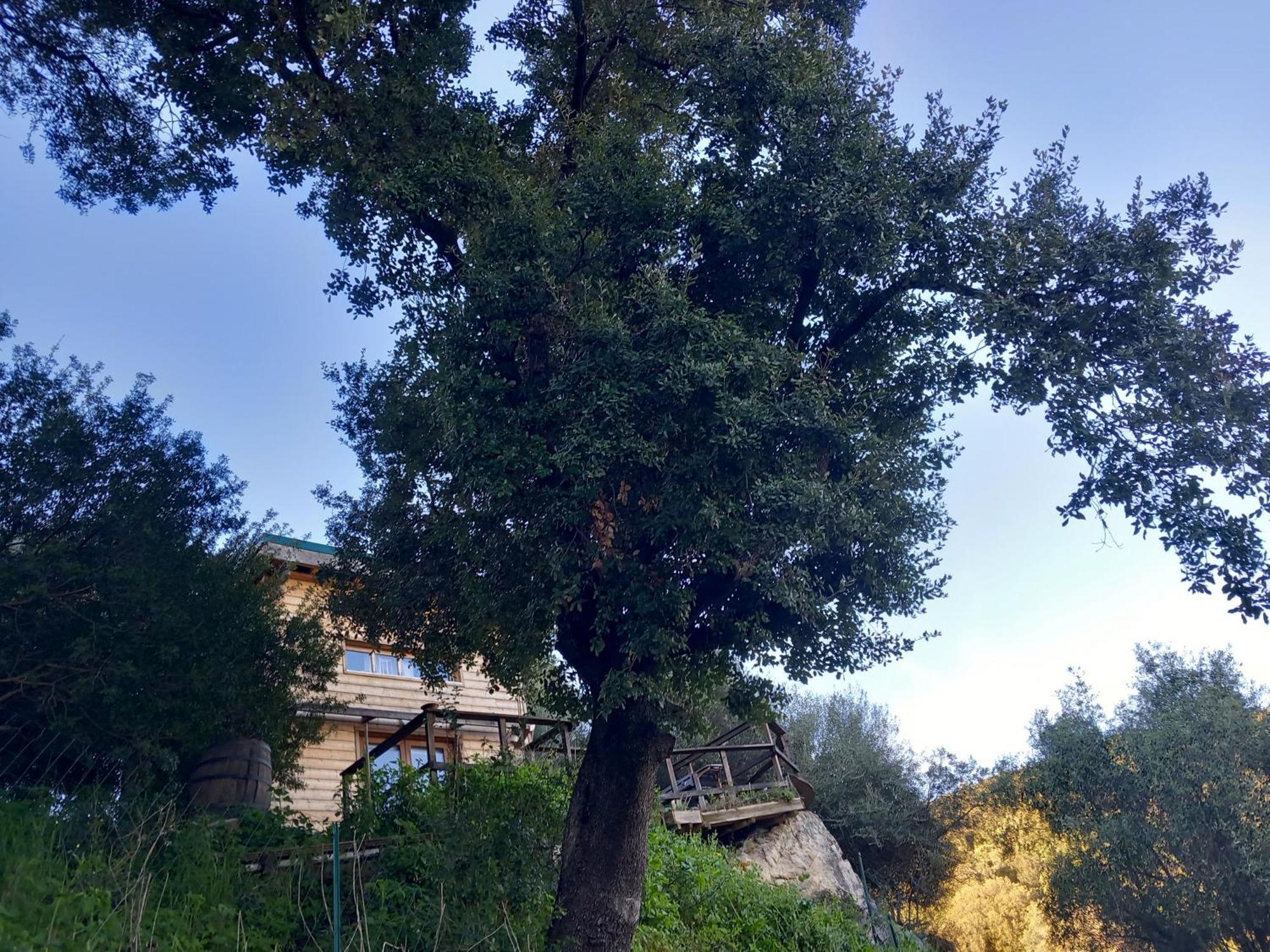 Villa A Croce 阿拉塔 外观 照片